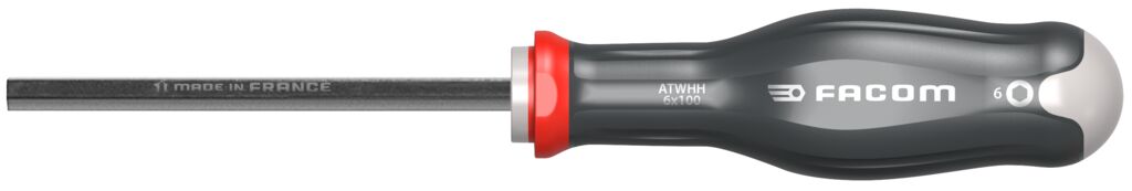 DESTORNILLADOR HOJA HEX 6X100