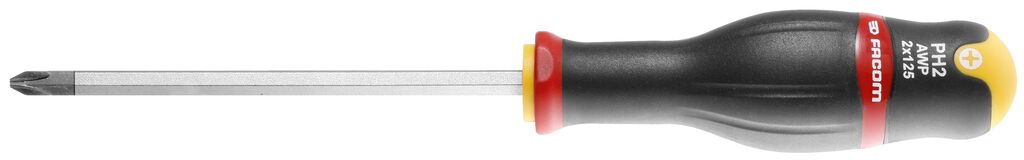 DESTORNILLADOR PH 1X100