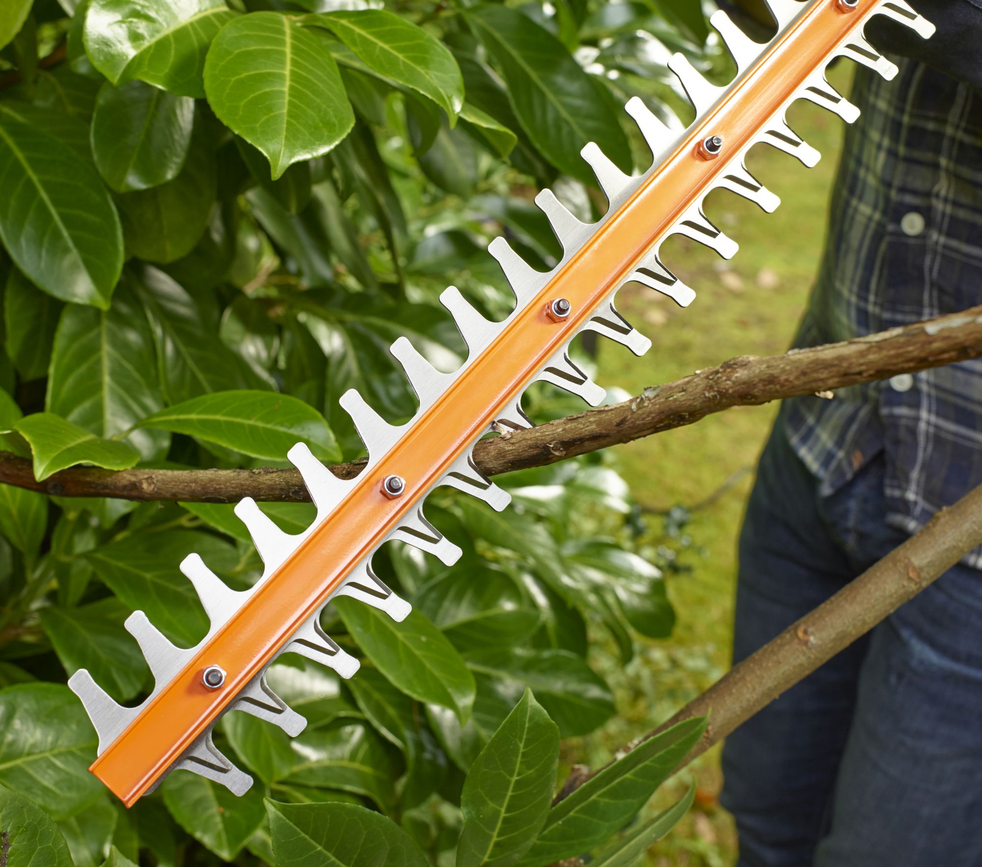 BEHT251-QS - Cortasetos 450W 50CM