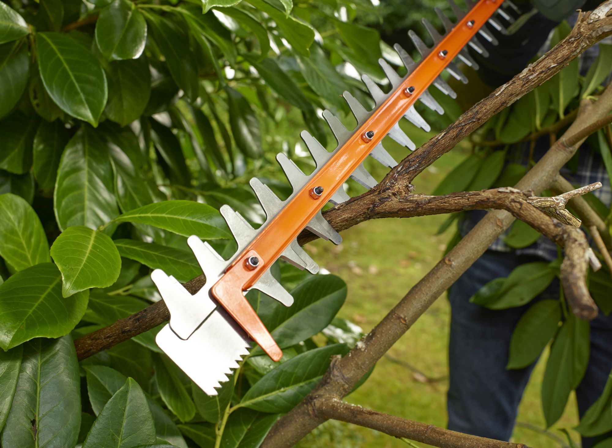 BEHTS451-QS - Cortasetos 550W 60cm con hoja de Sierra