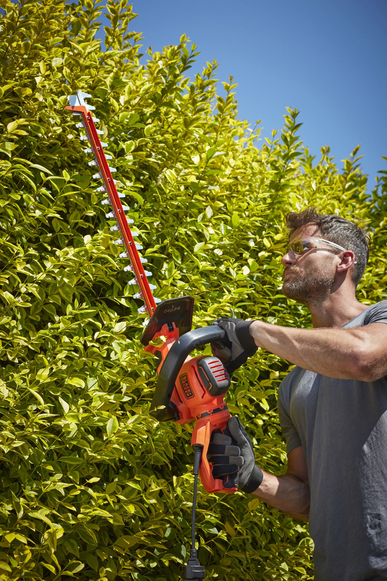 BEHTS551-QS - Cortasetos 650W con cabezal giratorio