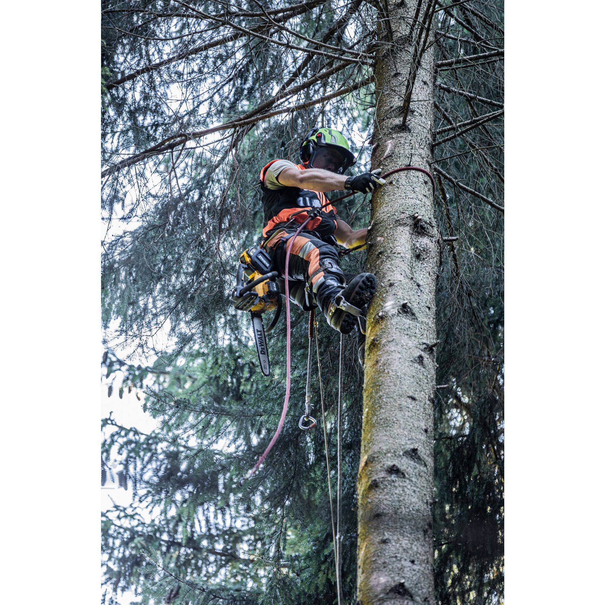 DCMCST635X1-QW - Motosierra de Poda sin escobillas XR FLEXVOLT 35cm con 1 batería 54V/18V Li-Ion 9Ah