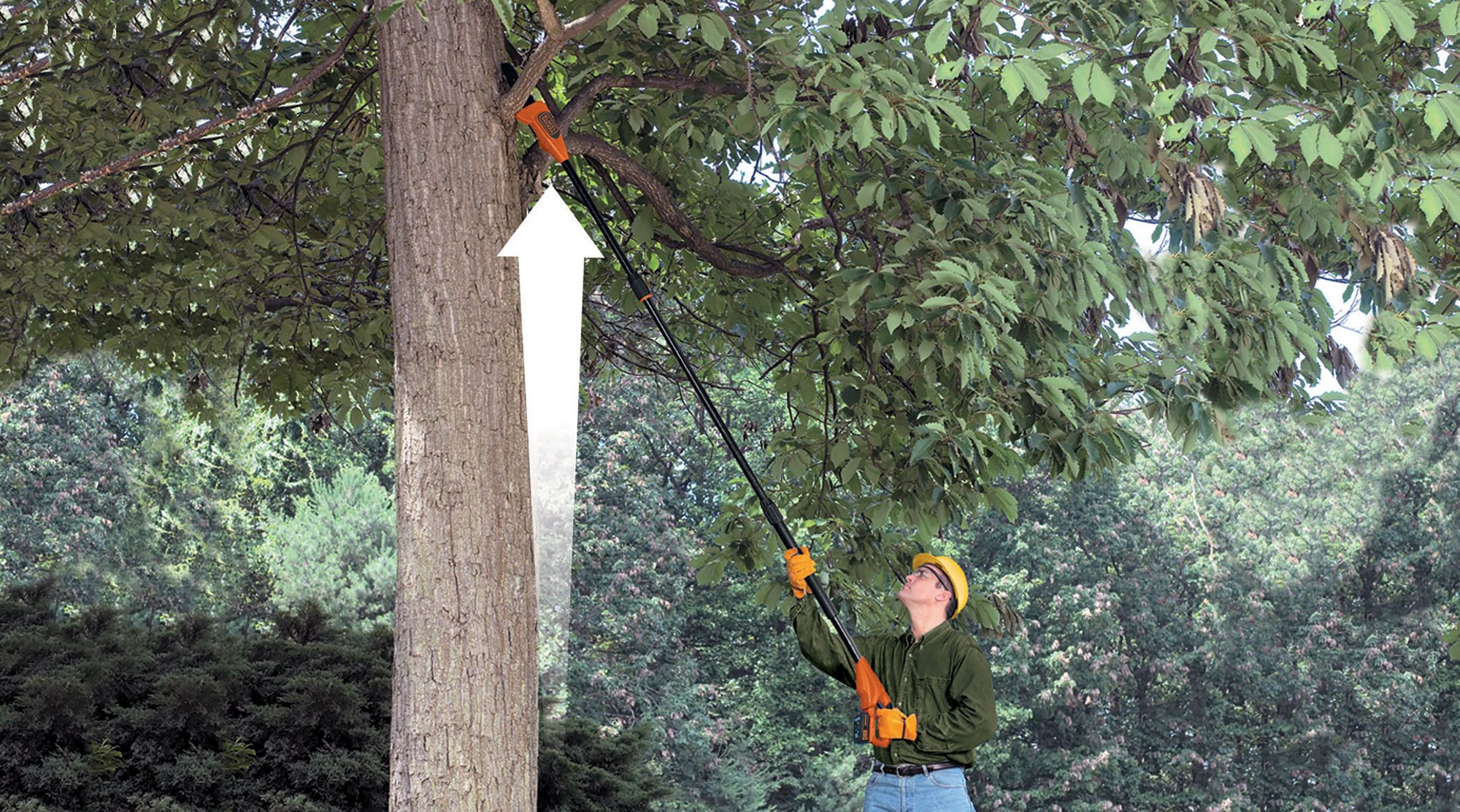 GPC1820L20-QW - MotoSierra de pértiga 18V 2.0Ah 20cm