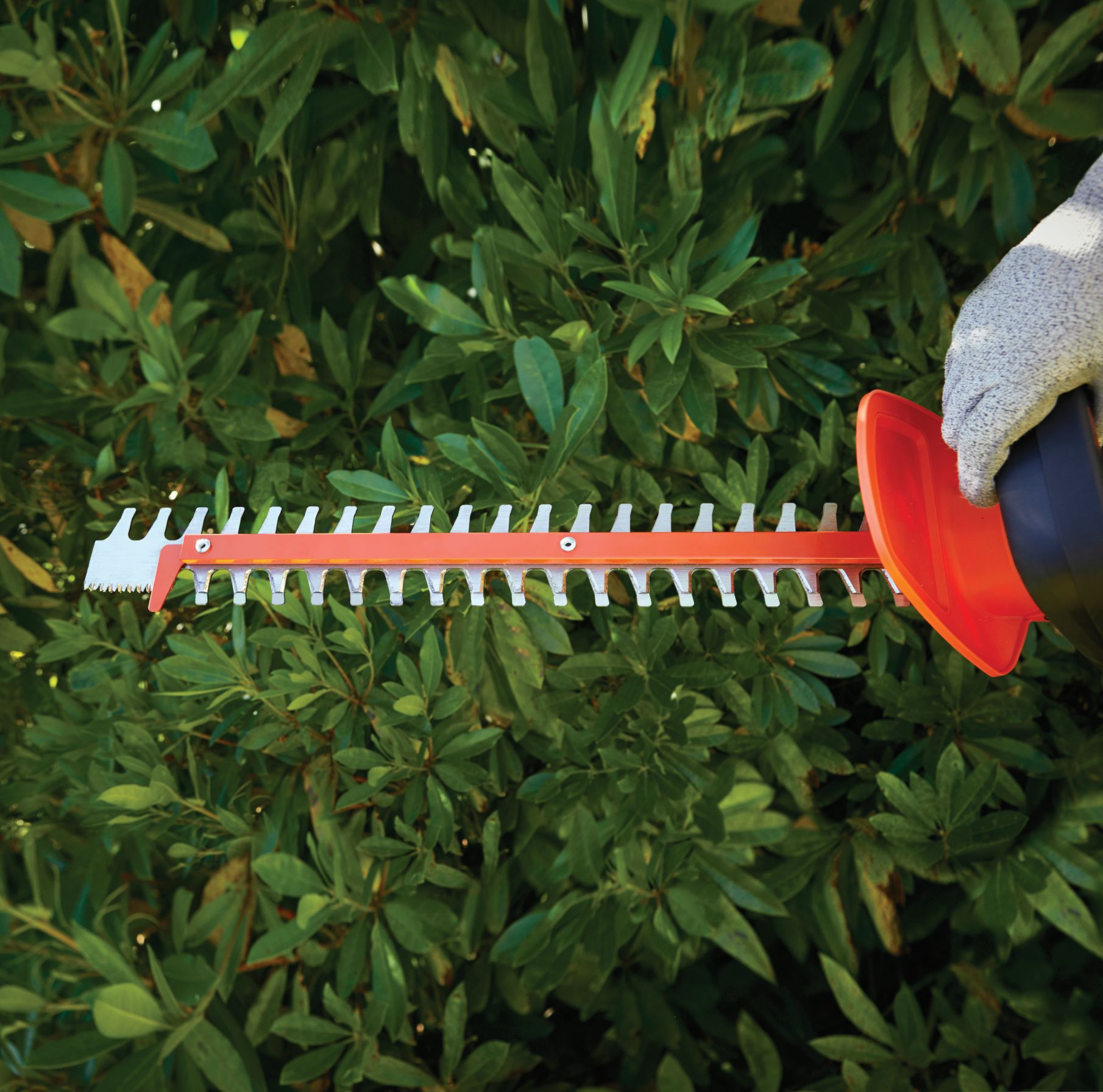 GTC5455PCB-XJ - Cortasetos Dual Volt 60cm 19mm PowerCommand CUT SIN batería