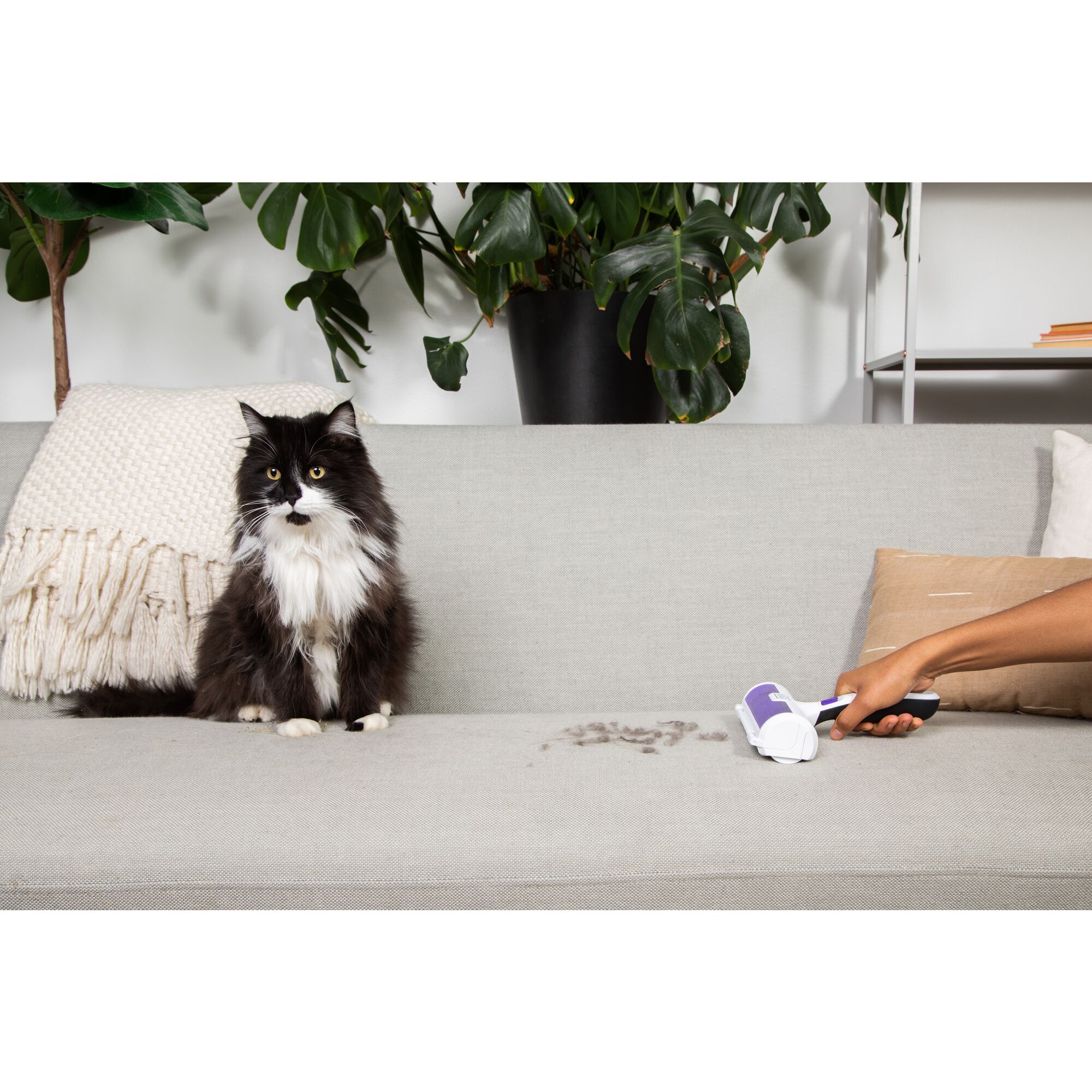 HMSCT0001-XJ - Removedor de Pelos e Fiapos