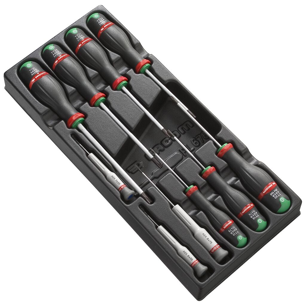 Módulo 10 destornilladores Protwist® Torx®
