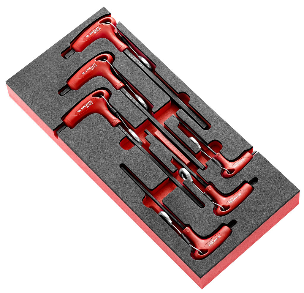 Módulo espuma 6 llaves 6 caras en 