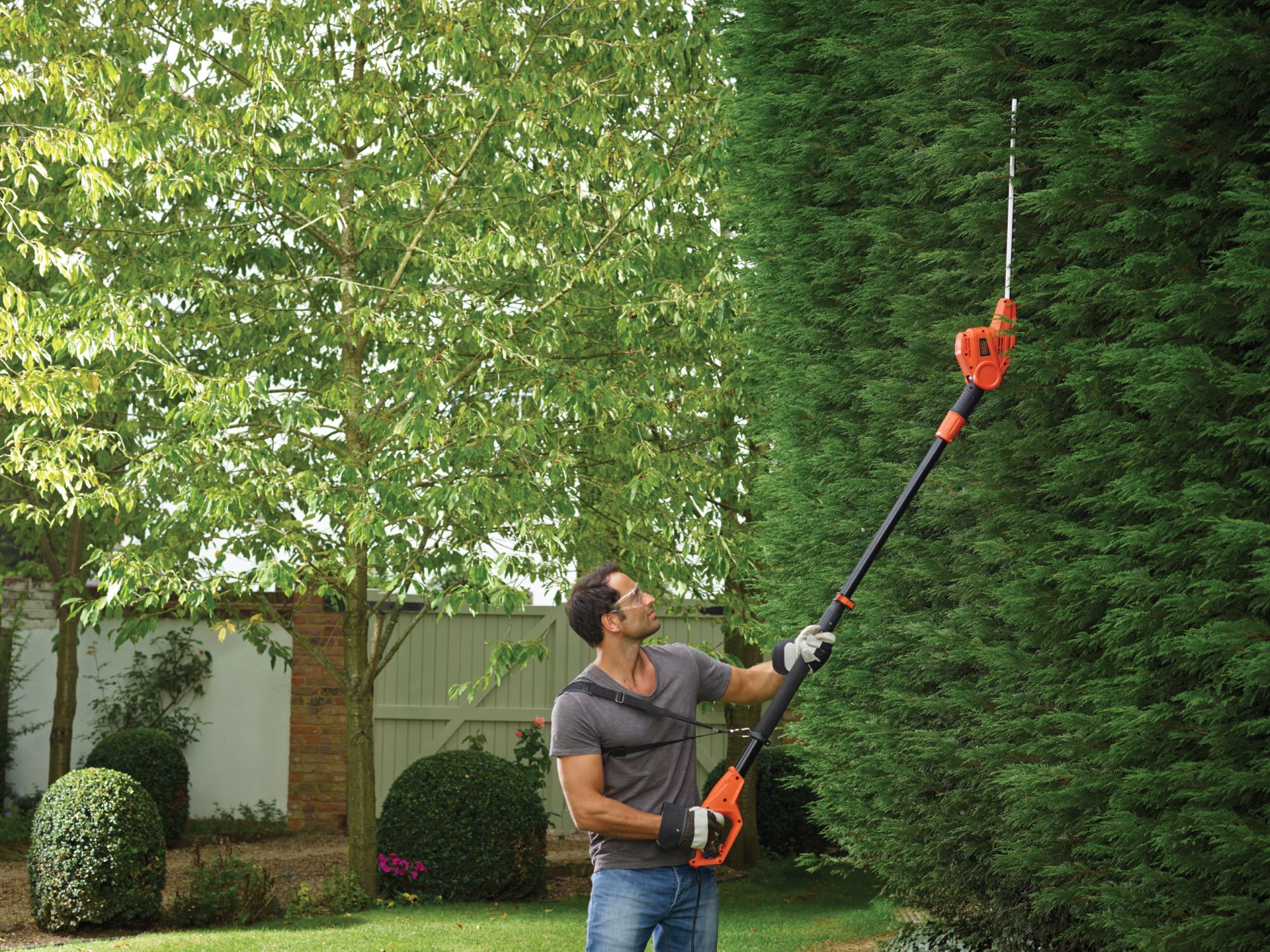 PH5551-QS - Cortasetos de Pértiga 550W