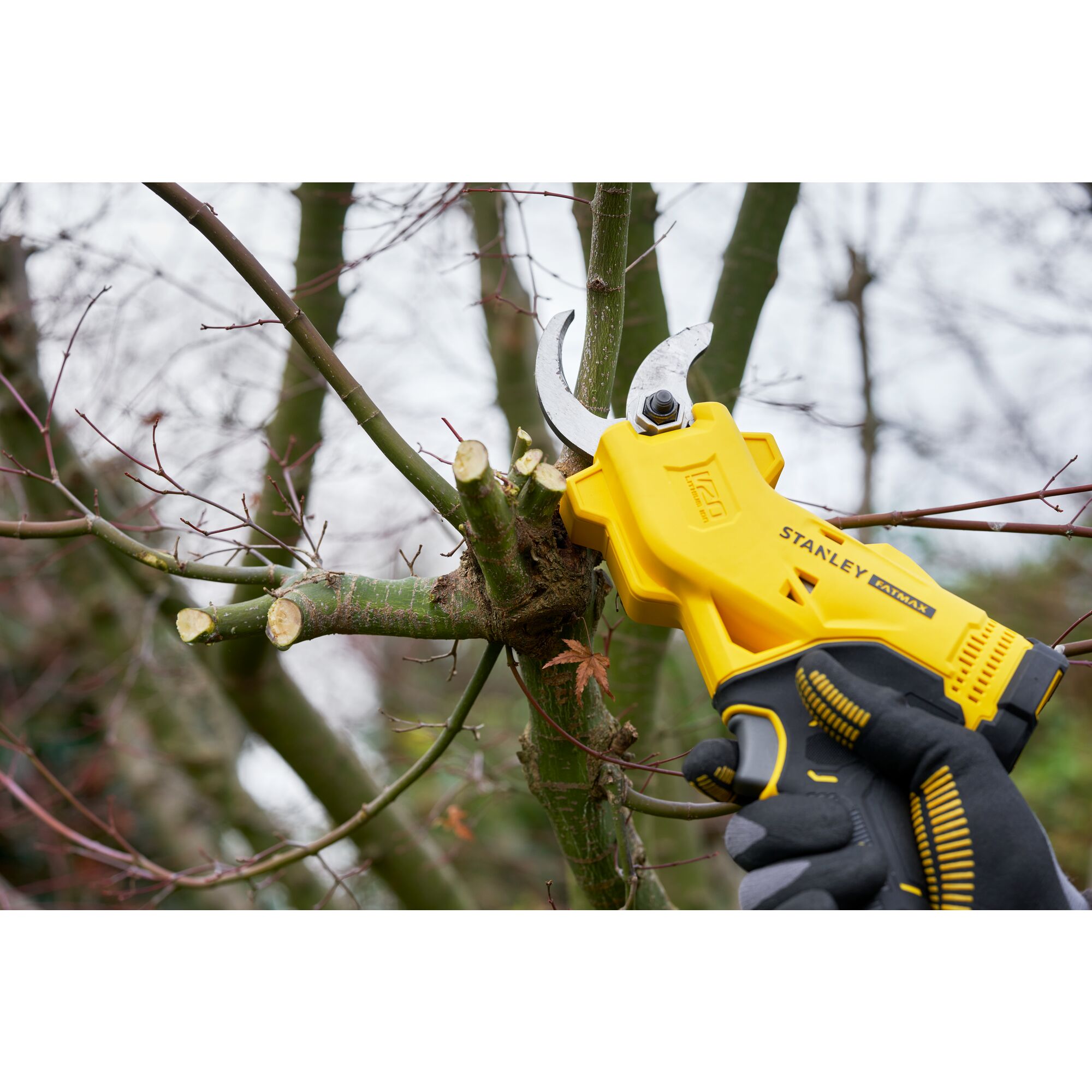 Podadora de mano V20 Li-Ion 18V con una batería 4Ah