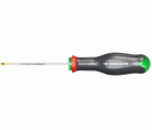 DESTORNILLADOR T TORX 25X100