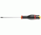 DESTORNILLADOR PH 1X100