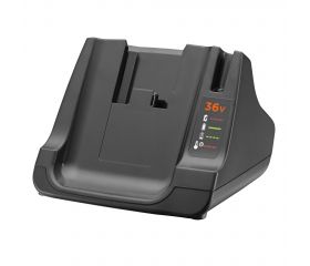 BDC2A36-QW Batería 36V 2Ah Litio y cargador 1,35A