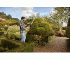 BEHTS451-QS - Cortasetos 550W 60cm con hoja de Sierra