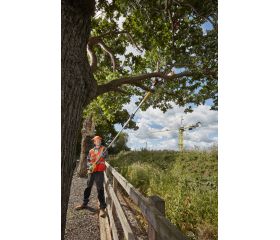 DCMPS567P1-QW Podadora de pértiga XR 18V