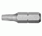 EXP.1 - Puntas estándar serie 1 para tornillos Torx Plus®