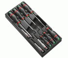 Módulo 10 destornilladores Protwist® Torx®