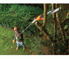 PS7525-QS - MotoSierra de pértiga 800W 25cm