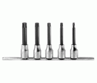 Juego de 5 vasos destornilladores dentado múltiple XZN 1/2