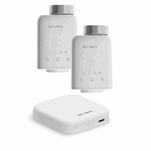 PACK TERM PHOENIX + 2 VALVULAS ENERGEEKS EG-PTERMVALV001