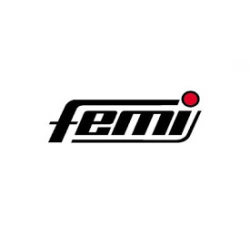 FEMI