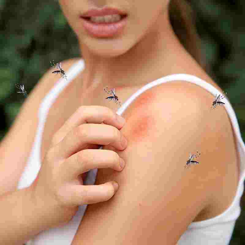 PULSERA ANTI-MOSQUITOS ULTRASONICA XANLITE EG-BRAMOUSN