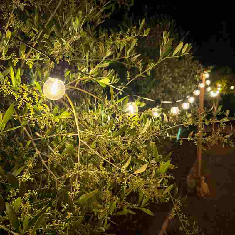 GUIRNALDA 5 METROS 10 BOMBILLAS 230V XANLITE EG-GRL512VBP45F