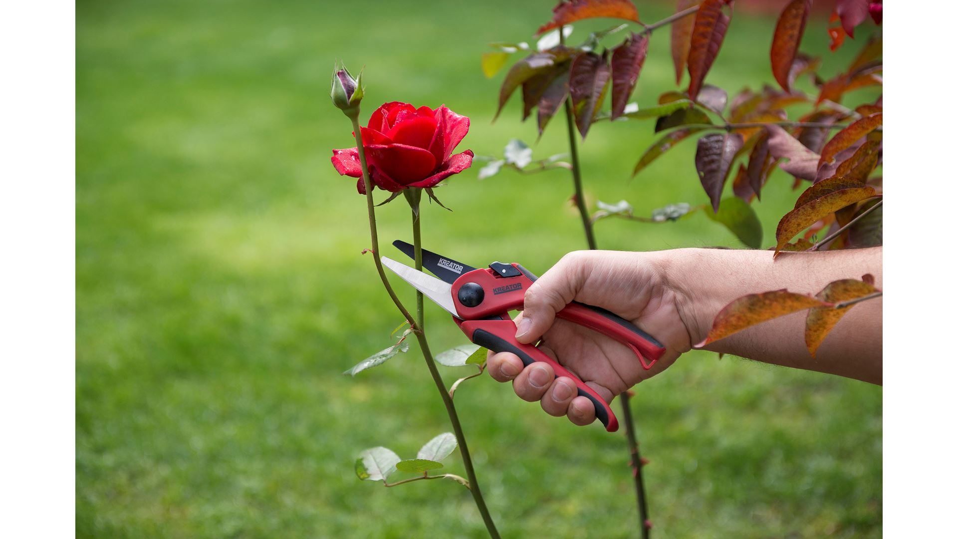 KRTGR1003 Tijera de poda recto acero al carbono