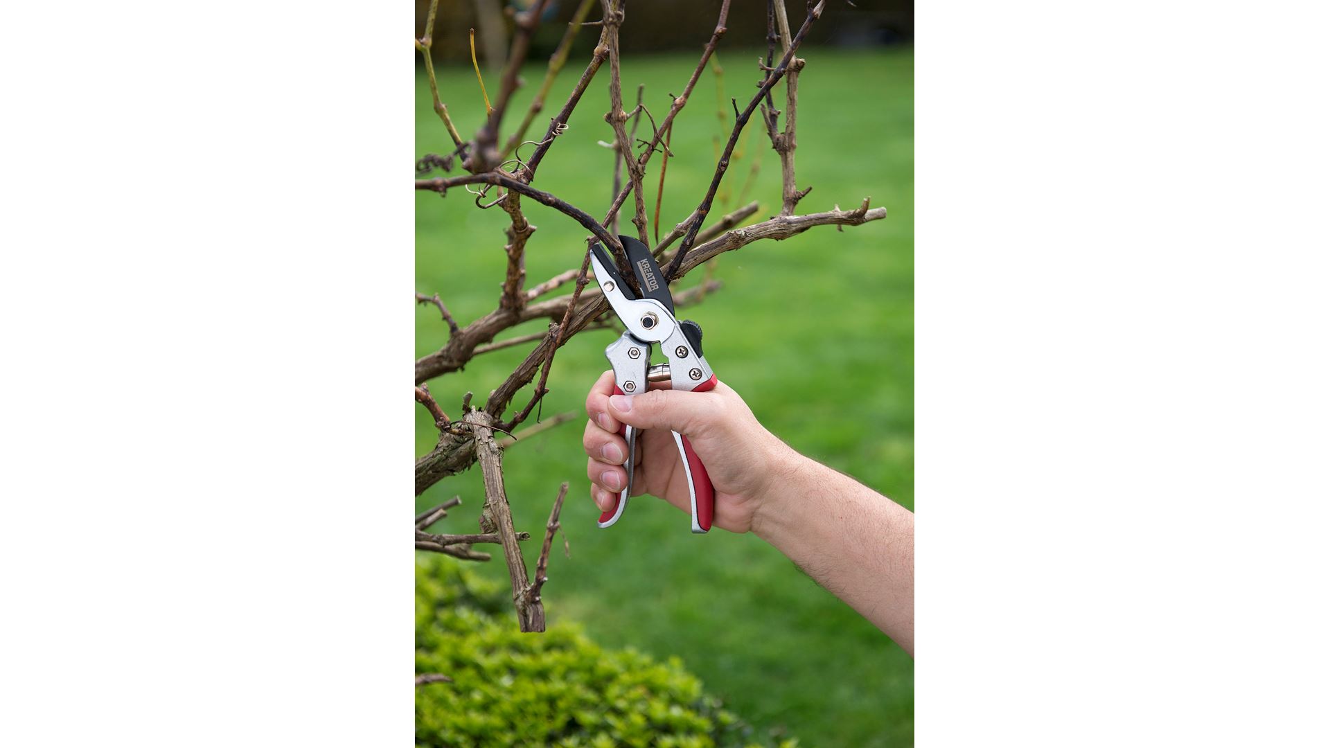 KRTGR1012 Tijera de poda yunque, acero sk5