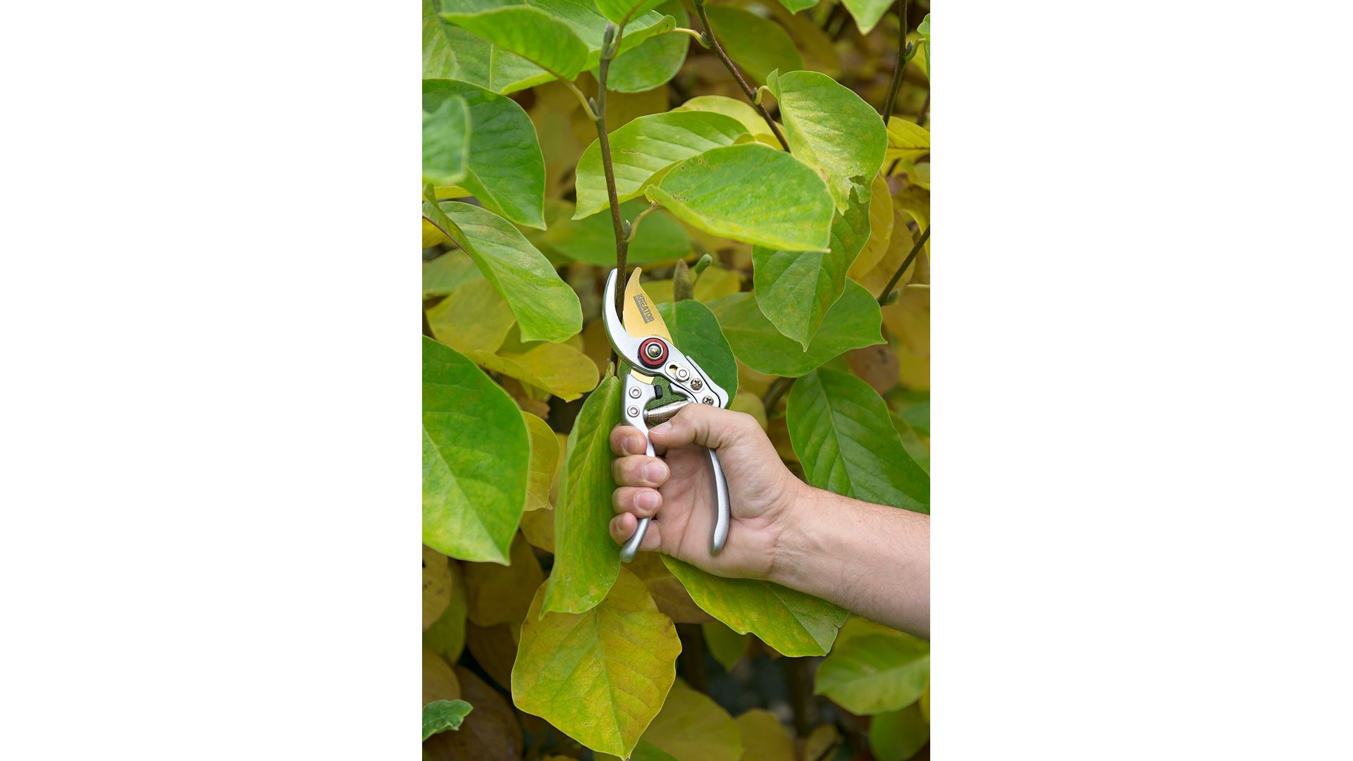 KRTGR1021 Tijera de poda bypass bypass de titanio