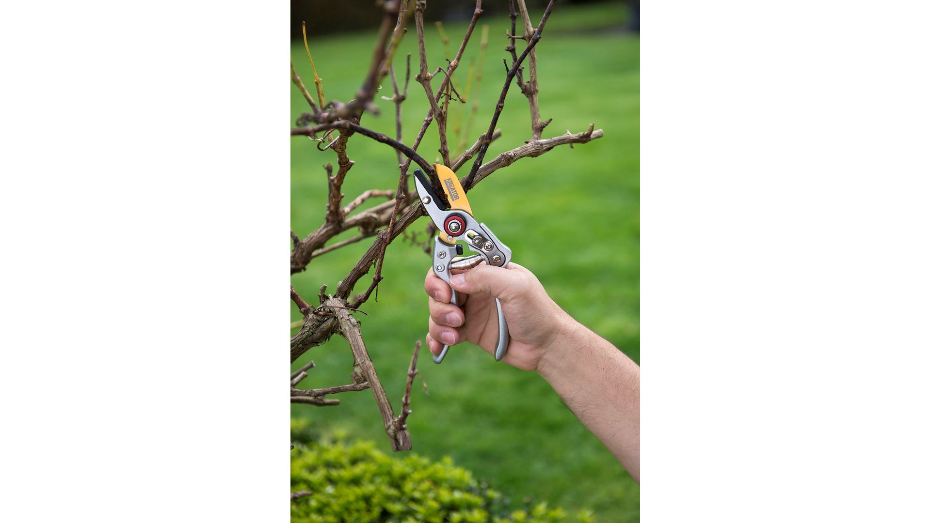 KRTGR1022 Tijera de poda yunque, titanio