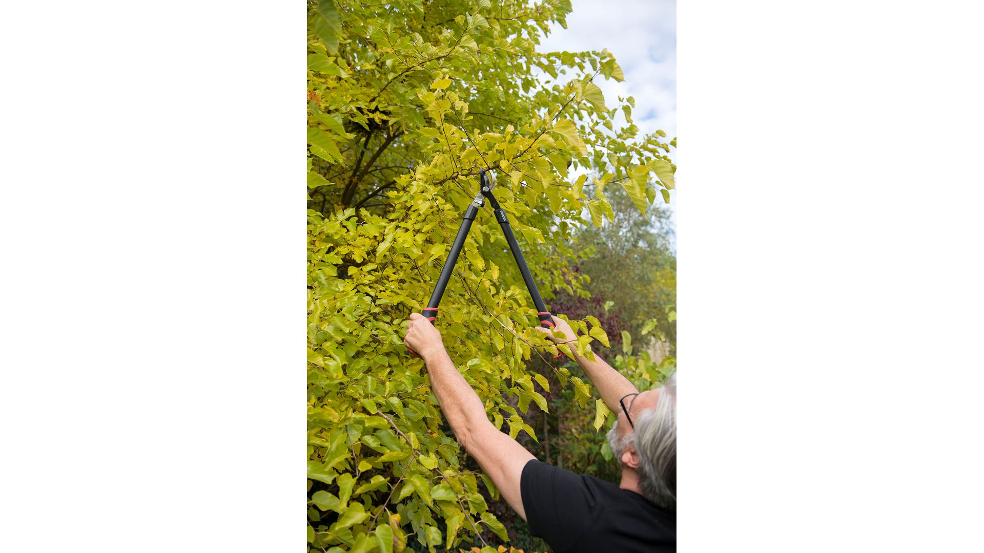 KRTGR4001 Tijeras de podar bypass bypass