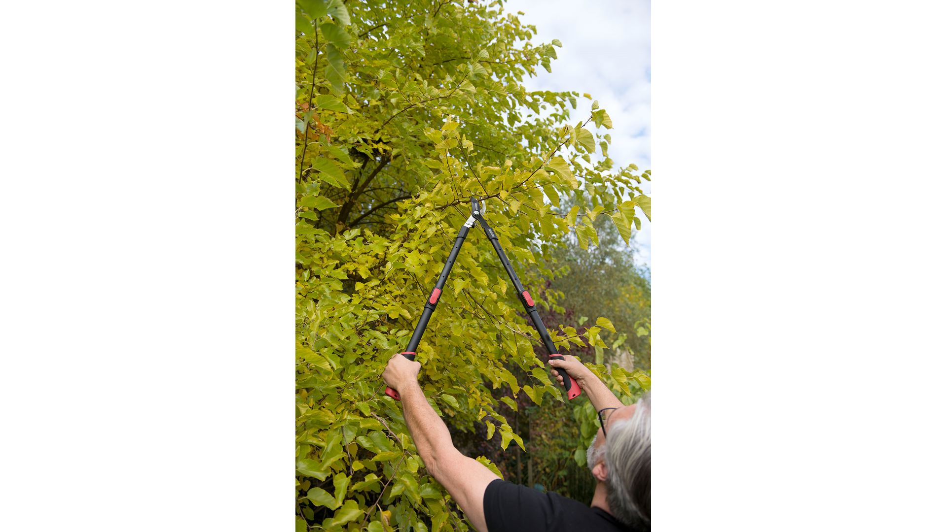 KRTGR4003 Tijeras de podar bypass bypass de acero telescópico