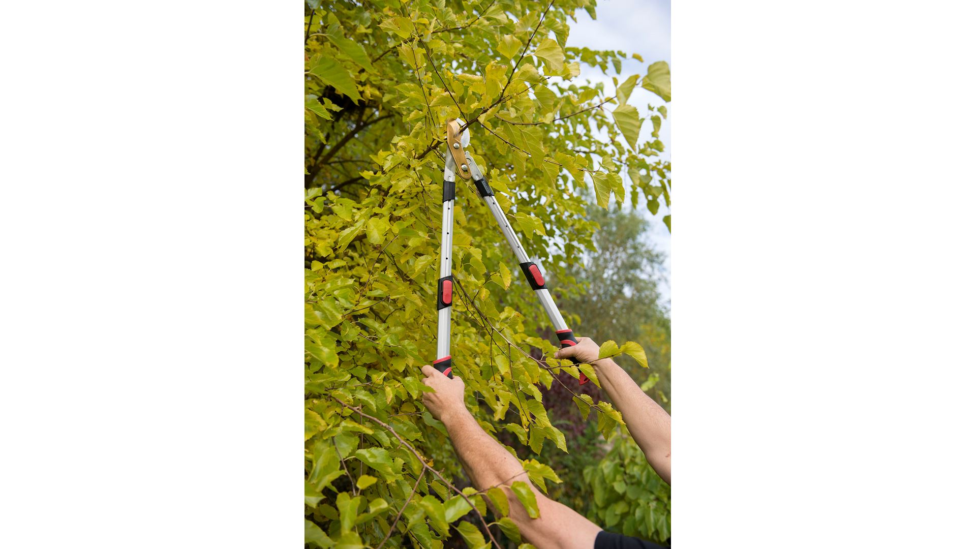 KRTGR4023 Tijeras de podar bypass alu telesc. power bypass