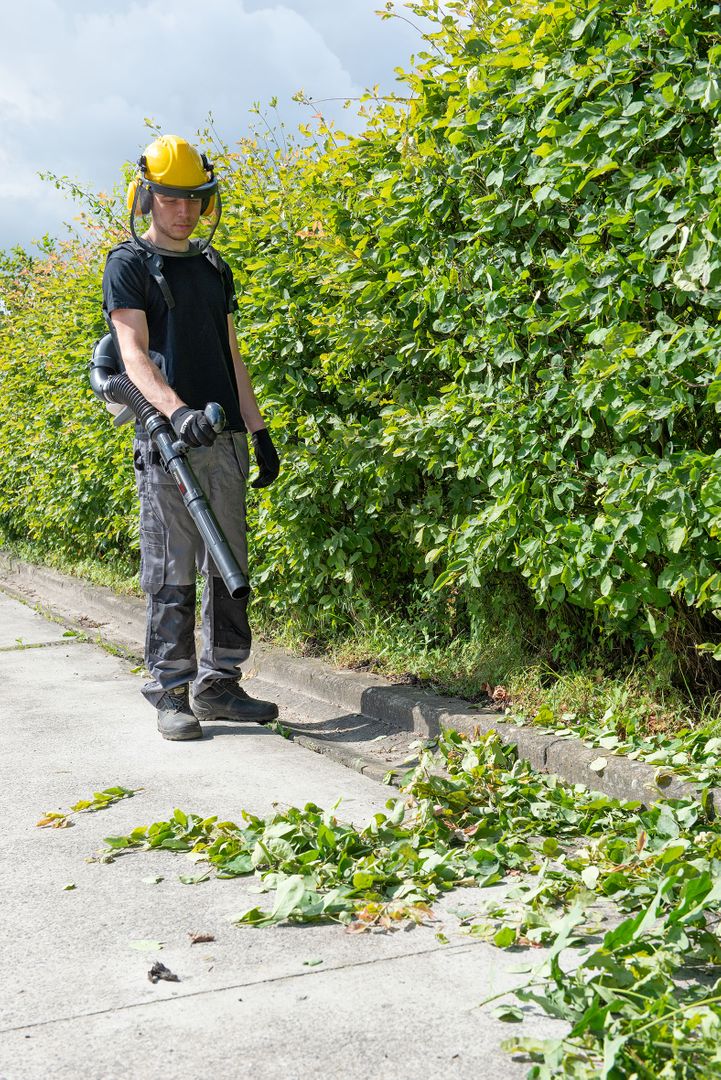 POWEG9020 Soplador de hojas mochila 26cc