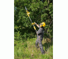 POWXG1032 Motosierra telescópica 900W  300mm - 1 acc.