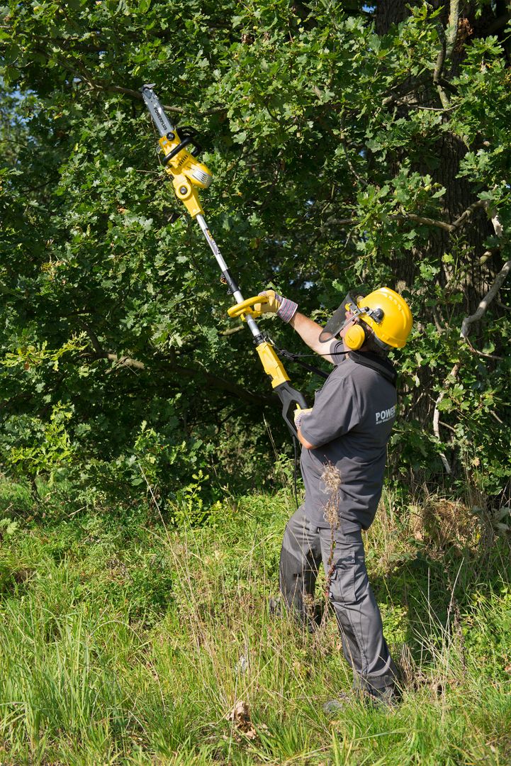 POWXG1032 Motosierra telescópica 900W  300mm - 1 acc.