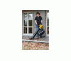 POWXG4038 Soplador/aspirador de hojas 3300W