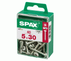CABEZA REDONDA SPAX T20 WIROX M 40 UD.