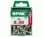 CABEZA REDONDA SPAX T20 WIROX M 40 UD.