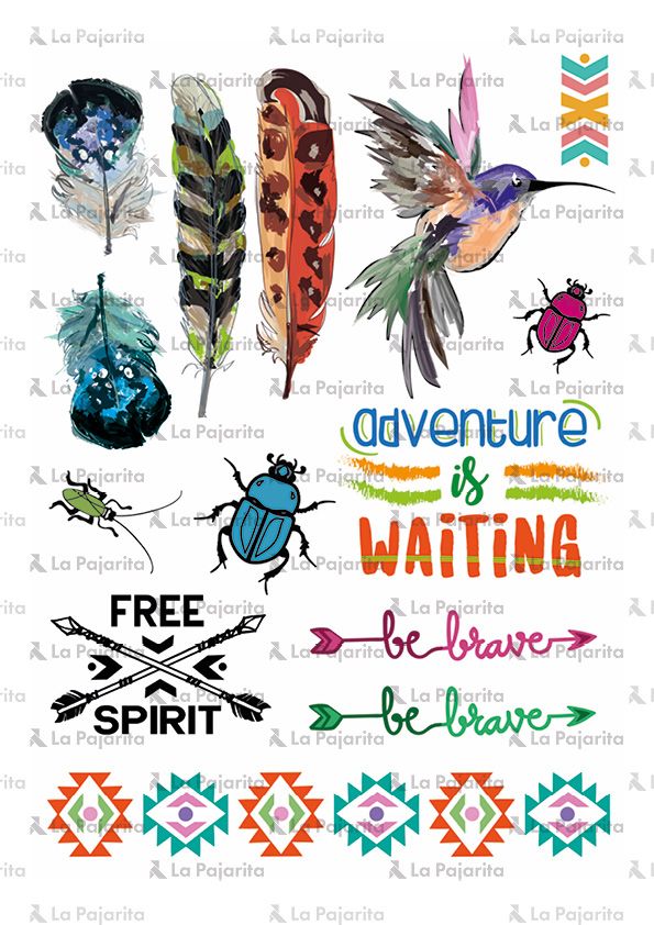 HOJA TRANSFERS ADVENTURE