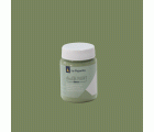CHALK PAINT CP-19 VERDE BAMBÚ - 0,075 L