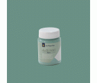 CHALK PAINT CP-21 VERDE HIELO - 0,075 L