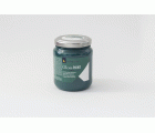 GLOSS PAINT GP-06 DARK GREEN