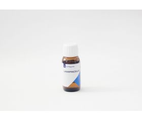LAVAPINCELES