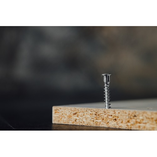 TRE-Z [CP] Tornillo de ensamblar. Zincado