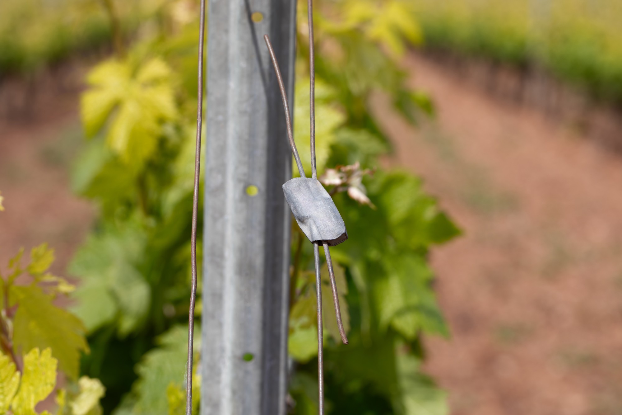 TA-TU [CP] Tensores y conectores de alambre para espalderas de viñedos, cultivos arbóreos, cercados ganaderos, etc…. Tensor Universal 2 canales para todo tipo de alambres
