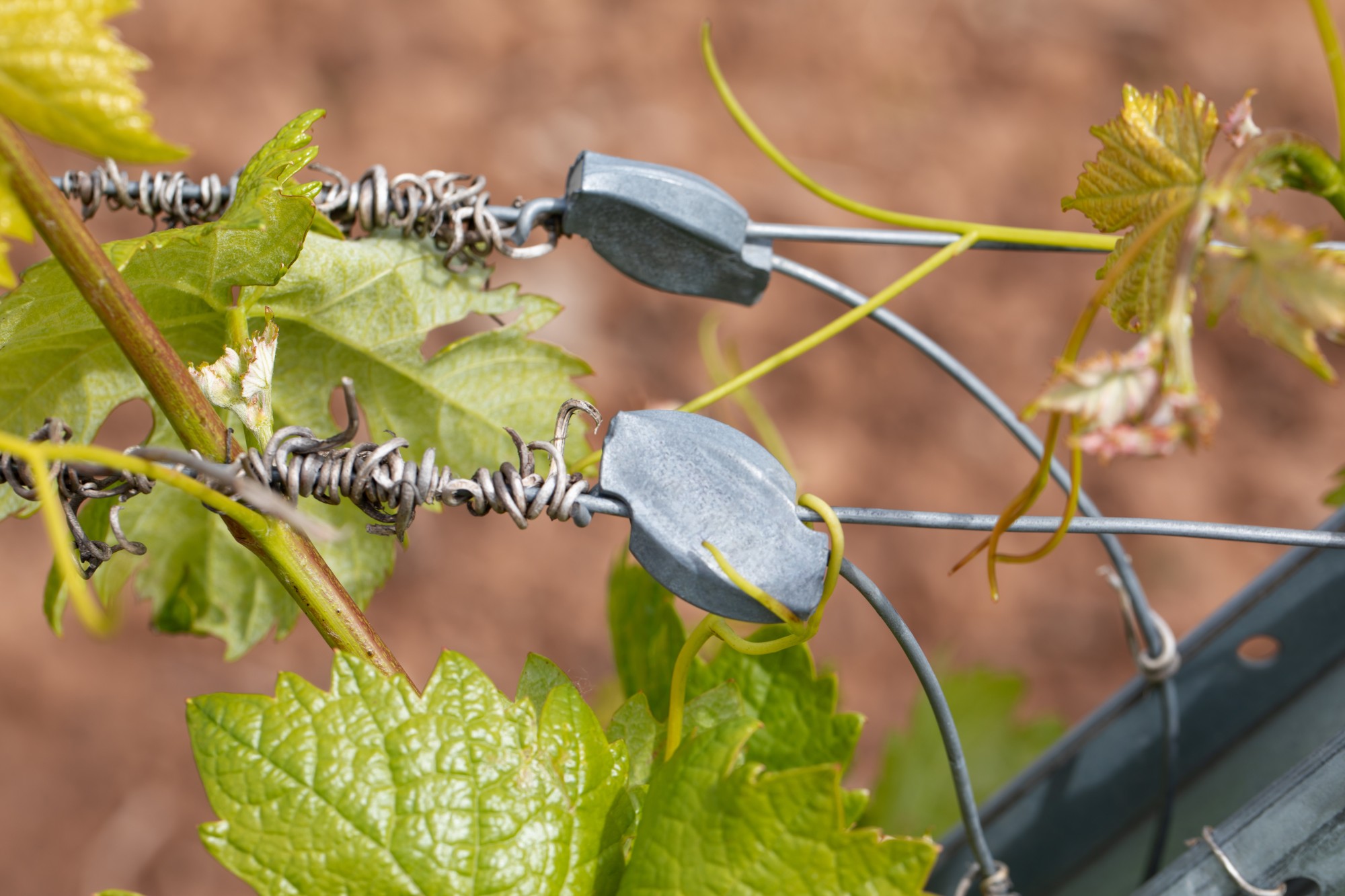 TA-TU [CP] Tensores y conectores de alambre para espalderas de viñedos, cultivos arbóreos, cercados ganaderos, etc…. Tensor Universal 2 canales para todo tipo de alambres
