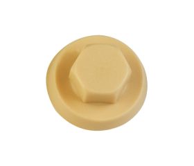 [CP ATAP] 10\RAL 1001