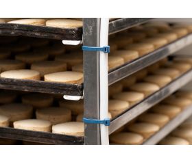 BN-DT [CP] Brida detectable. Azul