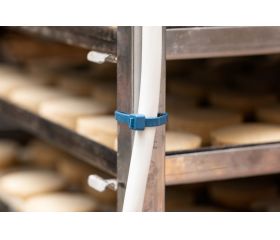 BN-DT [CP] Brida detectable. Azul